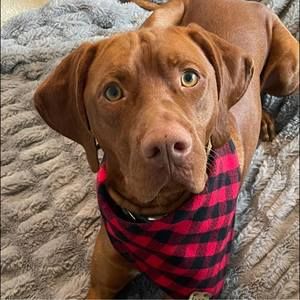 Meet your Posher, Christina